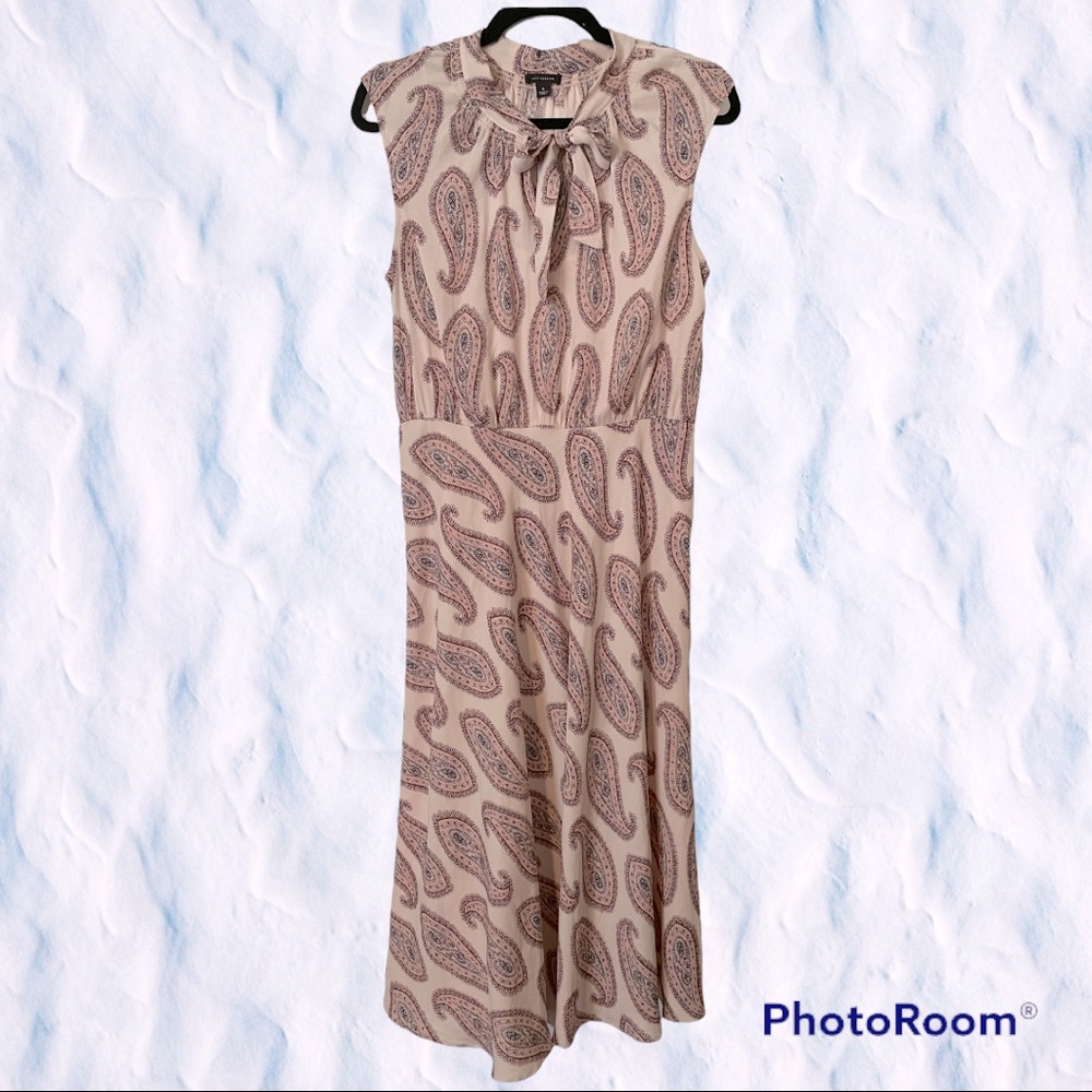 Ann Taylor Dress